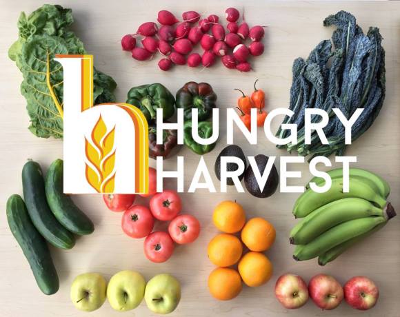 hungry harvest