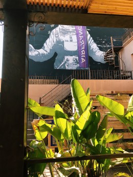 Processed with VSCO with c1 preset